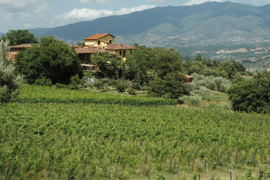 Locanda Casanuova Фильине-Вальдарно Экстерьер фото